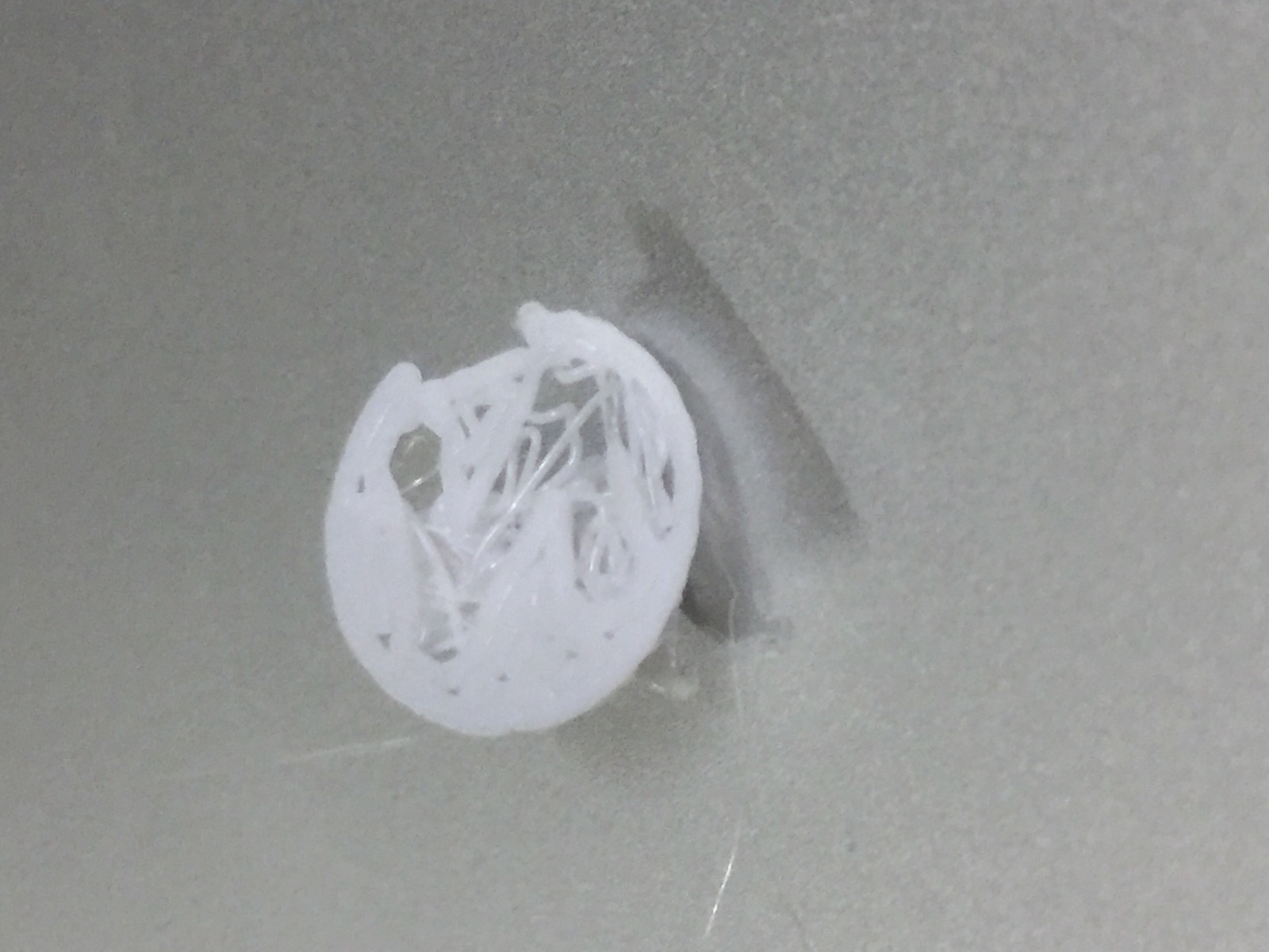 First layer printed on bed glass.