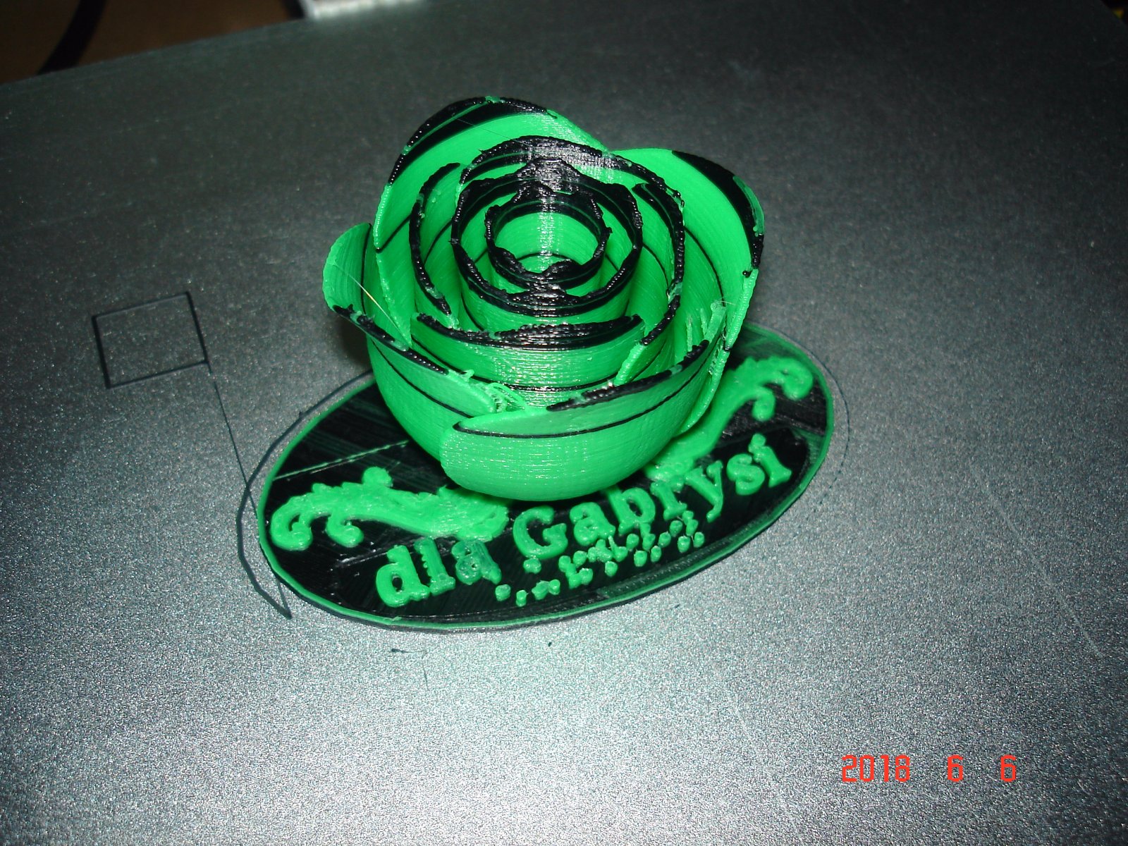a close-up view of the rose.